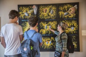 Festival_Robotica 2017