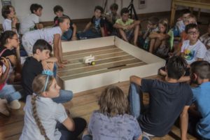 Robot per imparare a pensare Festival Robotica 2017